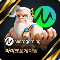 마이크로게이밍 슬롯
